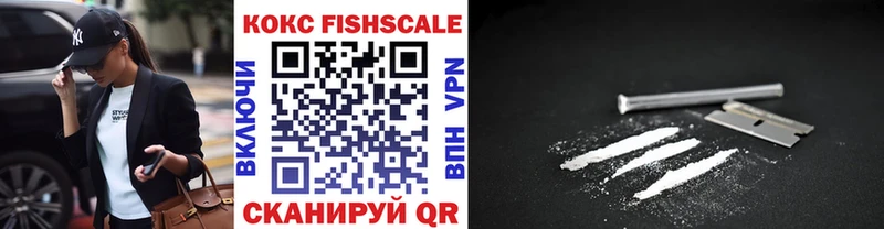 ОМГ ОМГ ссылки Данилов COCAIN Fish Scale