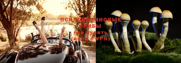 спиды Алексин